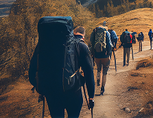 תיקים וארנקים